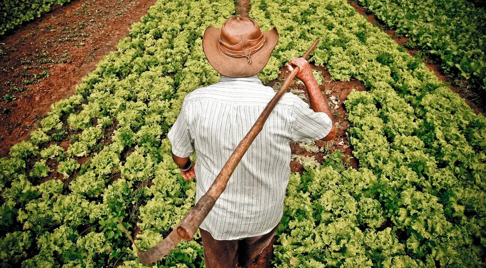 Entrega de imóvel e aquisição de terras foram os destaques do Idace em  julho - Instituto do Desenvolvimento Agrário do Ceará